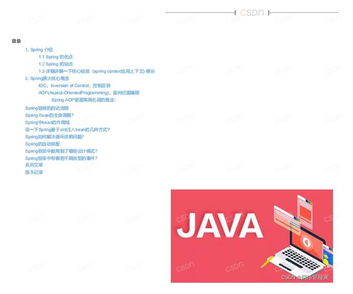 【java面试】Spring  PDF 下载 图1