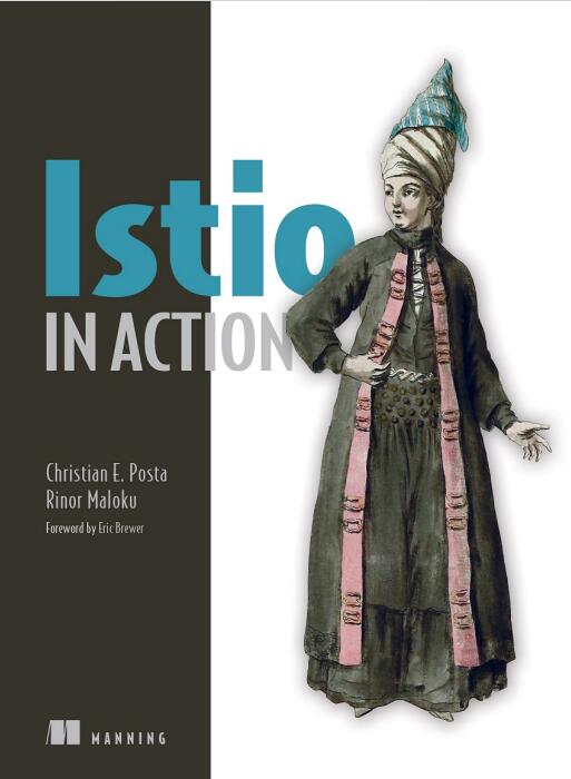 Istio in Action  PDF 下载 图1
