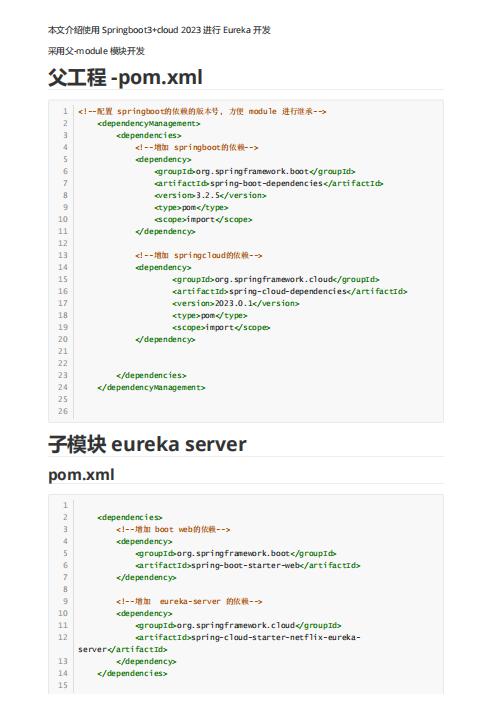 使用 Springboot3+springcloud 2023 进行 Eureka 开发 PDF 下载 图1