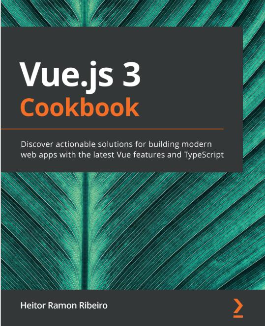 Vue.js 3 Cookbook PDF 下载 图1