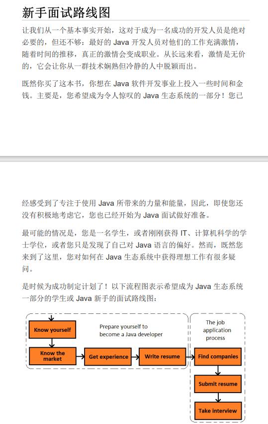 Java 代码面试完全指南（机翻） PDF 下载 图1