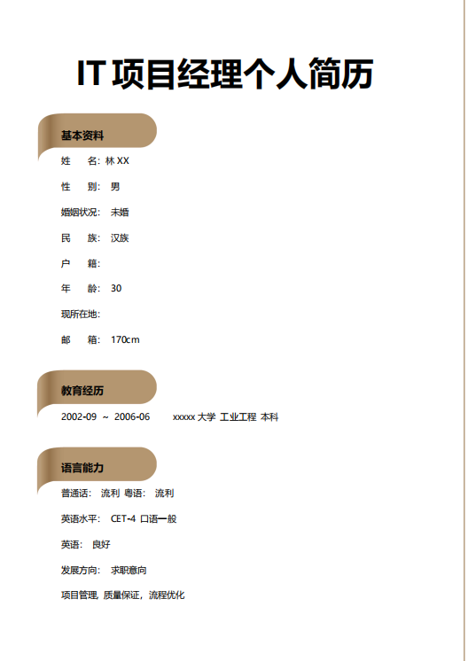 IT项目经理个人简历模板下载 PDF 下载 图1